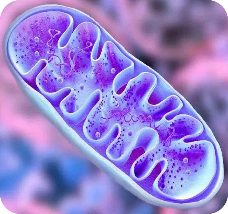 photo_2025-09-10_17-59-58 (2) 1.png